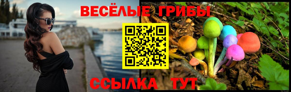 Йошкар-Ола  дарнет шоп  Вход с VPN  Псилоцибиновые грибы Psilocybine cubensis 